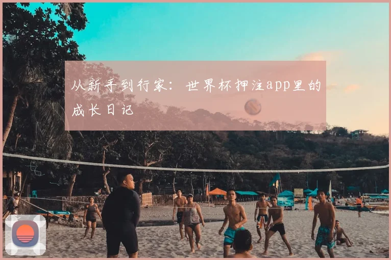 从新手到行家:世界杯押注app里的成长日记