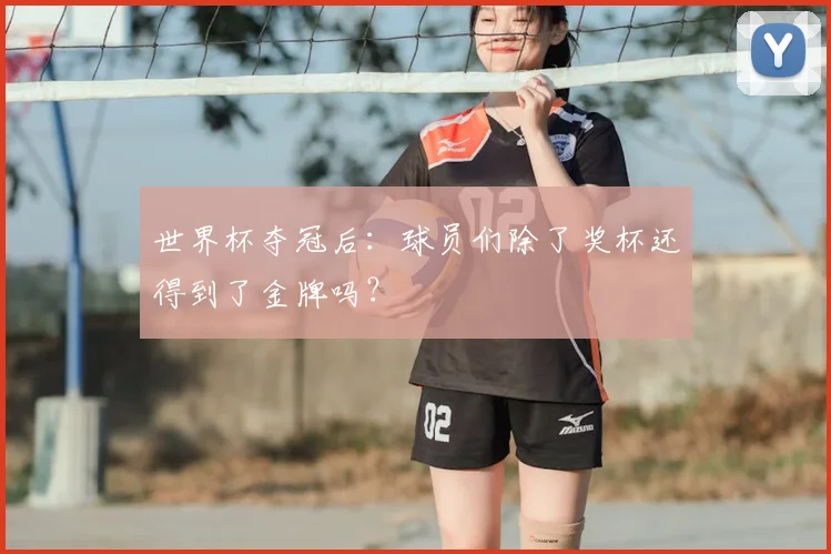 世界杯夺冠后：球员们除了奖杯还得到了金牌吗？