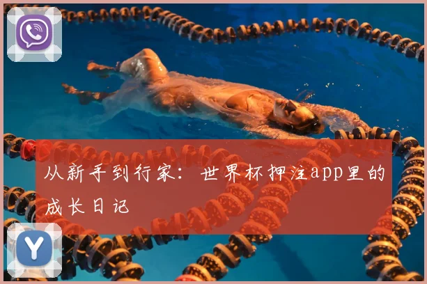 从新手到行家:世界杯押注app里的成长日记
