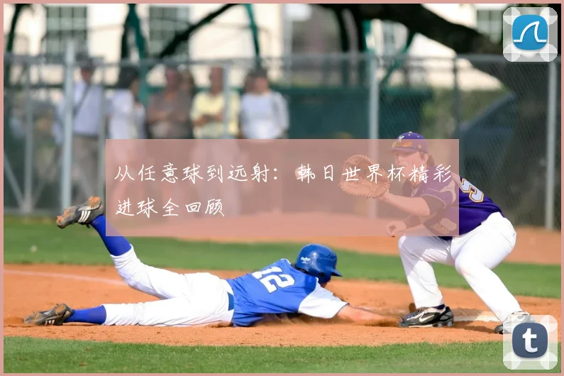 从任意球到远射:韩日世界杯精彩进球全回顾