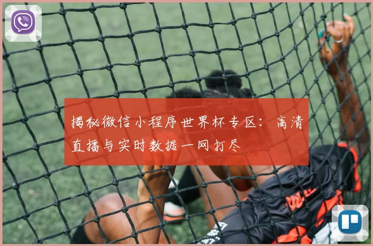揭秘微信小程序世界杯专区：高清直播与实时数据一网打尽