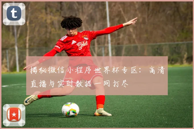 揭秘微信小程序世界杯专区：高清直播与实时数据一网打尽