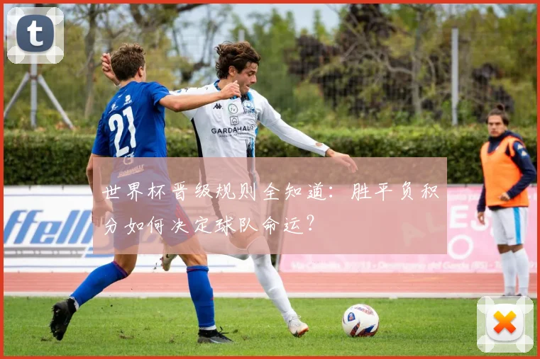 世界杯晋级规则全知道:胜平负积分如何决定球队命运?