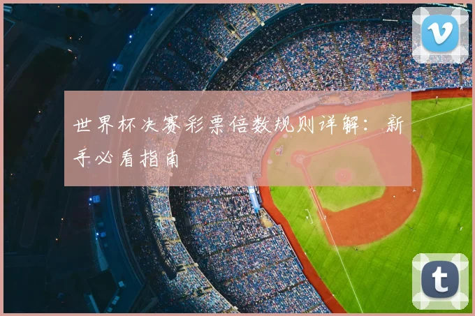 世界杯决赛彩票倍数规则详解:新手必看指南