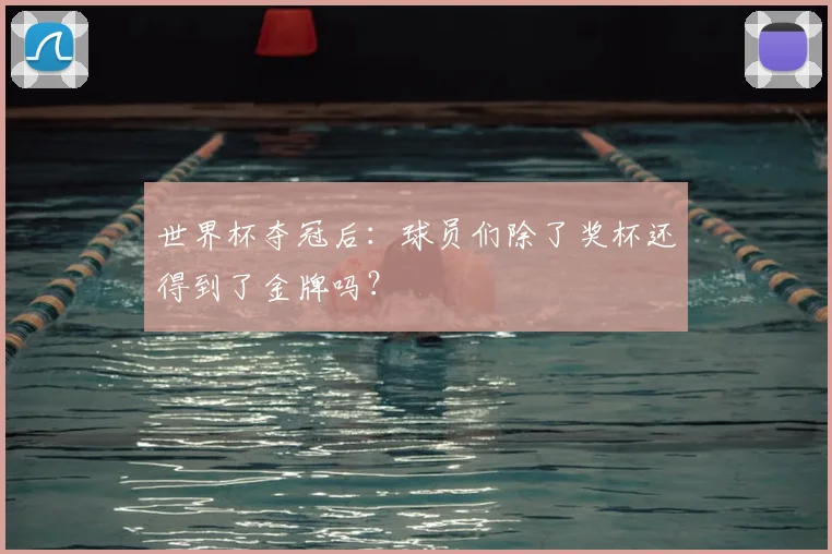 世界杯夺冠后:球员们除了奖杯还得到了金牌吗?