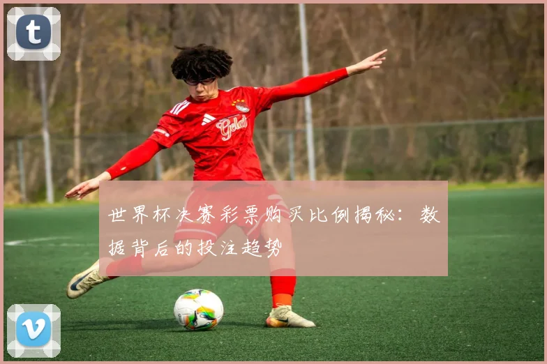 世界杯决赛彩票购买比例揭秘:数据背后的投注趋势