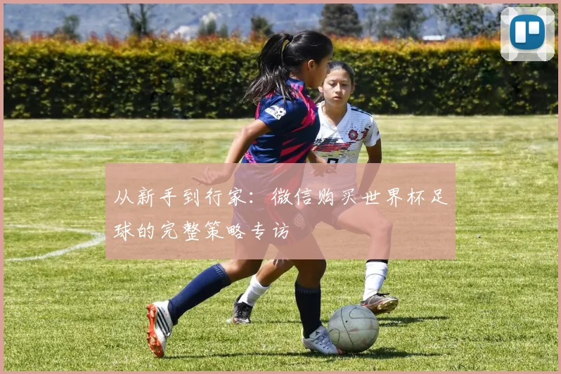 从新手到行家：微信购买世界杯足球的完整策略专访